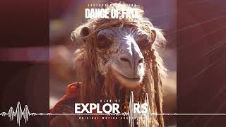 Broken Reflections - Camels