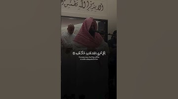Sheikh Anas Al Emadi Surah Abasa الشيخ انس العمادي سورة عبس