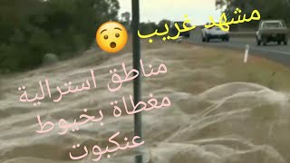 #مشهد   مناطق من ولاية استرالية مغطاة خيوط عنكبوت 