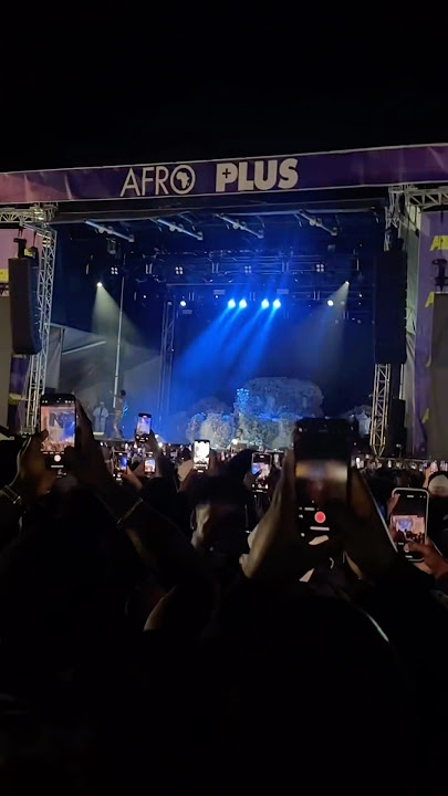 AFROPLUS FESTIVAL recap ft. uncle waffles, shenseea, gunna, wizkid, and asake