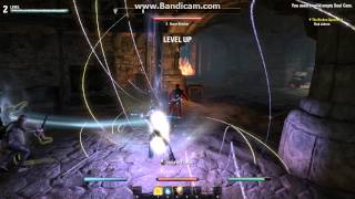 Elder Scrolls Online - Stress Test jan 2014