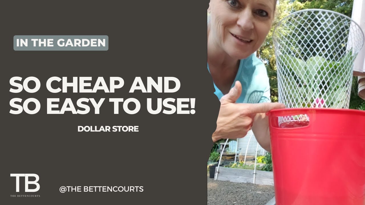 Dollar Store DIY Root Crop Washer YouTube