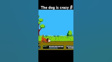 Nes gameplay | duck hunt 🗿#shorts #games