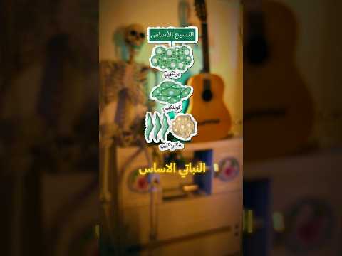 النسيج النباتي الاساس احياء سادسيون وزاري معهد نسيج
