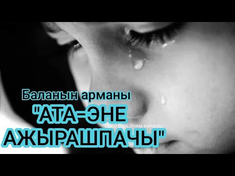 Video: ТикТоктогу эң жагымдуу ата-эненин 15 учуру