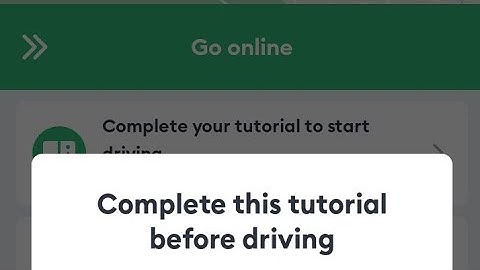 What to Know As a New Bolt Driver Before GOING ONLINE Part 1