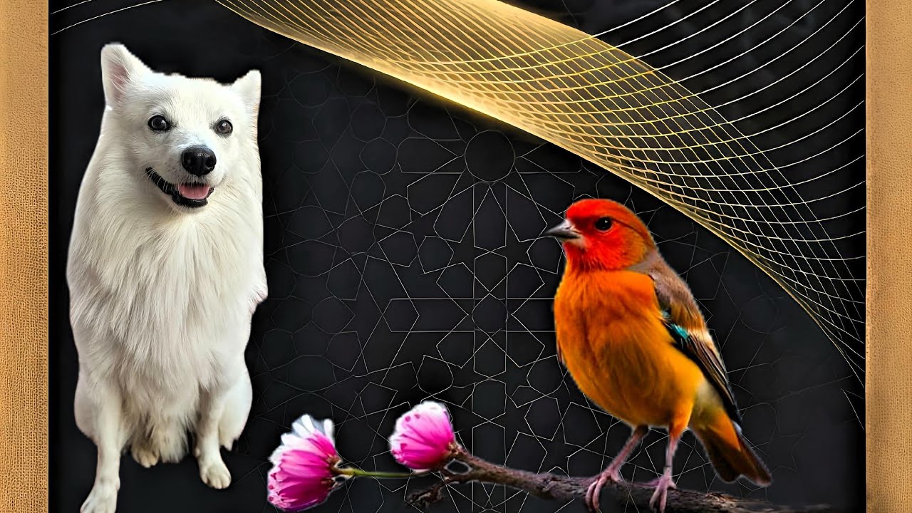 Visit any Time in my shop 