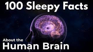 Inside Your Mind at Midnight | 100 Brain Facts for Deep Sleep | MrMidnightSleep screenshot 4