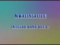 Mwalinsalile Integor Band Lesa Mwalinsalile Official Video Mp3 Song