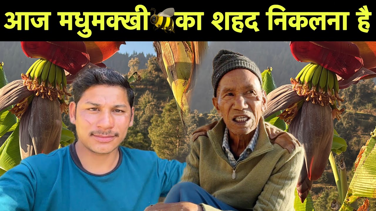 आज मधुमक्खी 🐝 का शहद निकलना है 😁 दादा को देख के पुराने दिन याद आ गये 