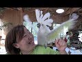 ＰＡＷ(パウ)の楽しい鳥さんたち　長崎バイオパーク