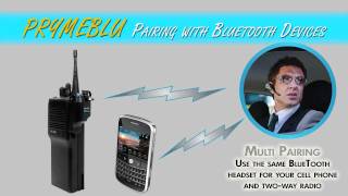 PRYME - PRYMEBLU Wireless Bluetooth Adapter