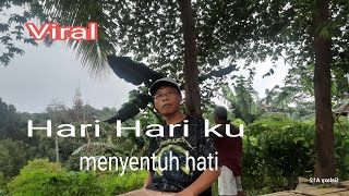 VIRAL - HARI HARI KU - Sindung - Sangat menyentuh hati