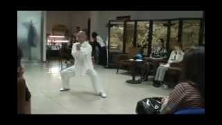 Tai Chi Master Zhan Dong Hai from Baoding