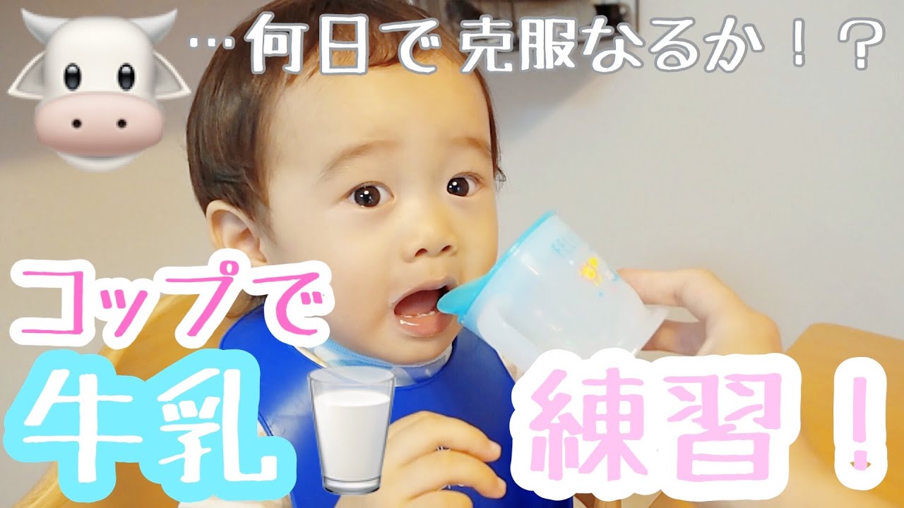 1 歳 牛乳 飲 ませ 方 コップ