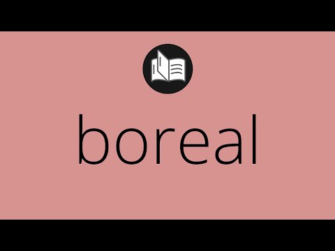 Que significa BOREAL • boreal SIGNIFICADO • boreal DEFINICIÓN • Que es BOREAL