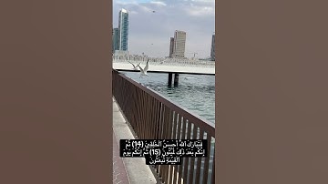سورة المؤمنون/#القرآن_الكريم #اكسبلور #subscribe #duet #لايك #dubai #العراق#quran
