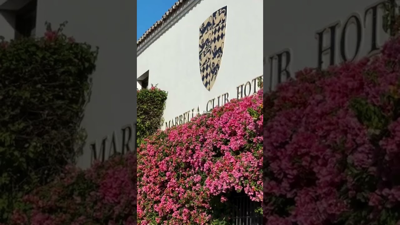 Summer in Marbella — This Is What Life Should Feel Like. 🌅🍾 | 