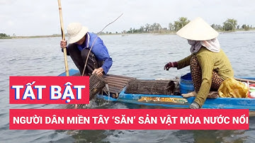 Người dân miền Tây ‘săn’ sản vật mùa nước nổi