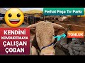 2021 KURBAN PAZARI -6 | Ferhat Paşa Tır Parkı | Kurban Fiyatları | İstanbul Sokakları TV