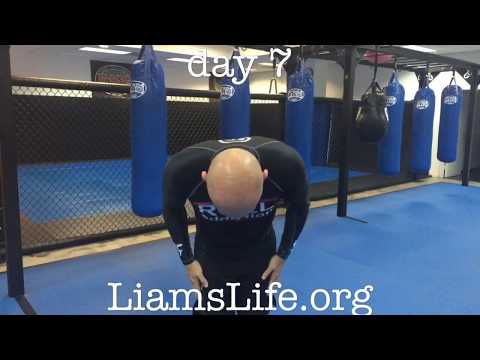 Day 7- 100 kicks per day 7 Day challenge in support of LiamsLife.org