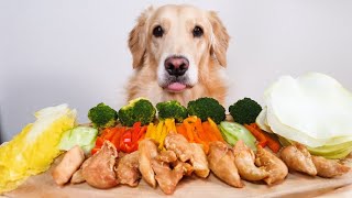 ASMR Dog MUKBANG Korean Chicken Fresh Vegetable Wrap SSAMChicken!!