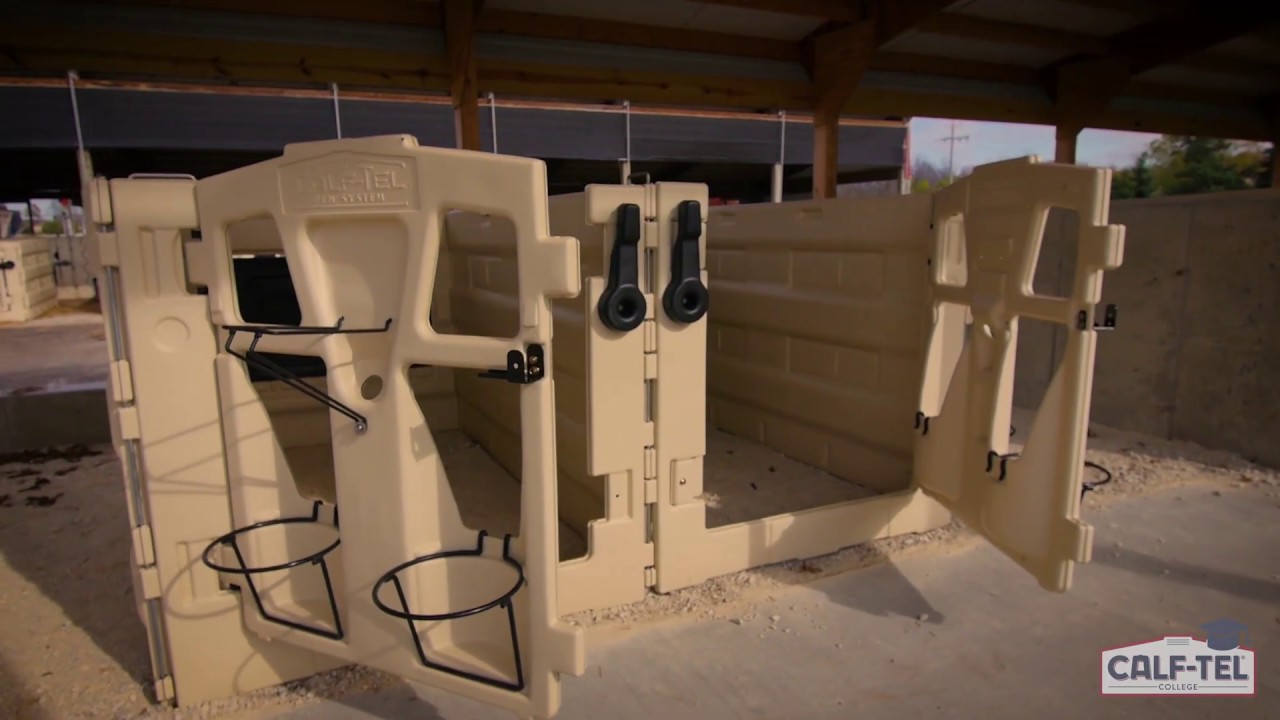 Calf Tel College Part 7  Pen System