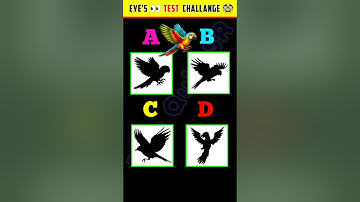 Memory Test Challenge🥸 | Puzzle Challenge | part 18 || #shorts #quiztime