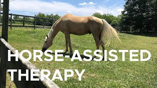 How horses can help with mental health | Sci NC