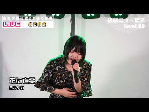 岩口和暖　花に亡霊　ヨルシカ　東京ミューゼス level.08