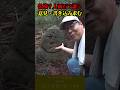 【山武の石仏】誰かに似てない？ #shorts