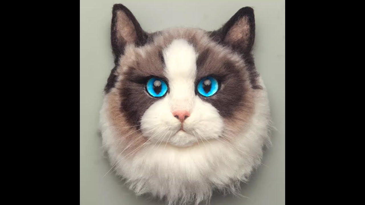 light-colored Ragdoll cat diy - YouTube