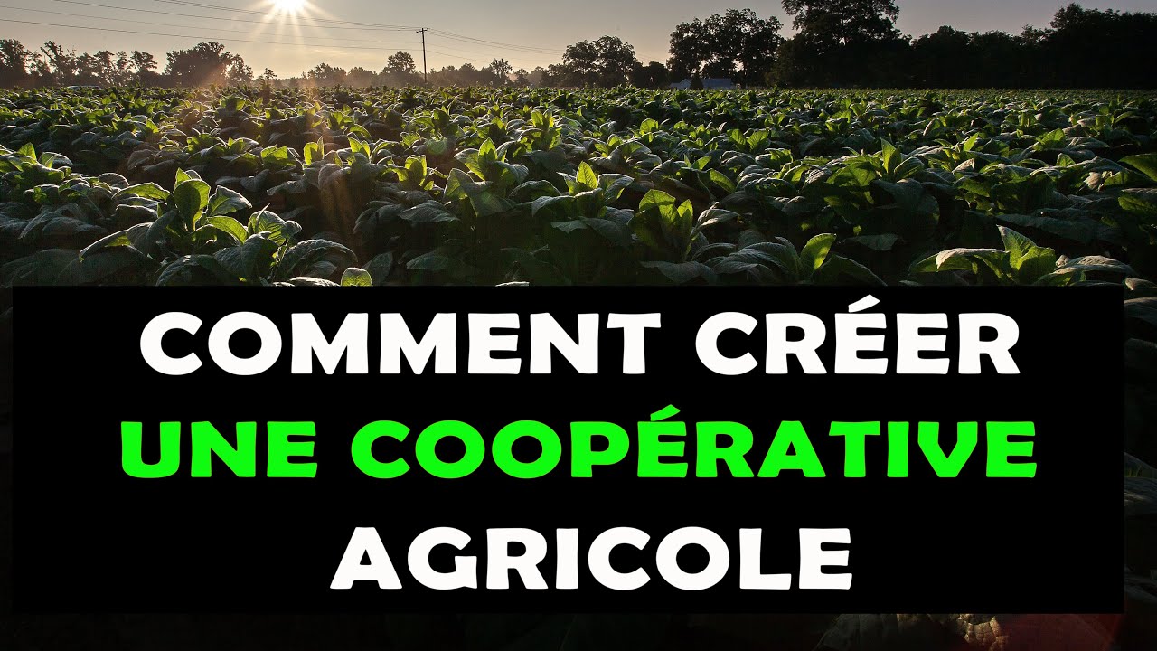 COMMENT CRÉER UNE COOPÉRATIVE AGRICOLE