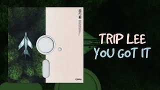 trip lee - you got it // lyrics