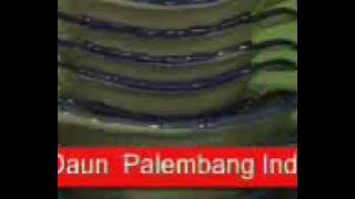 kiki maria esok milik kita 1