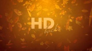 Falling Leaves - HD Background Loop