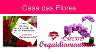 Orquidiamantina Sao Valentim 2015