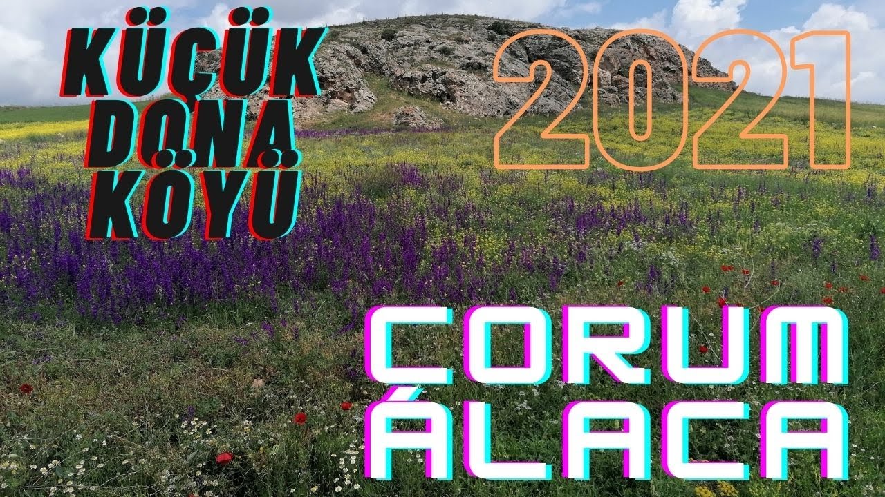 МАЛЕНЬКАЯ ДЕРЕВНЯ ДОНА (ДОКУМЕНТАЦИЯ CORUM ALAC 2021