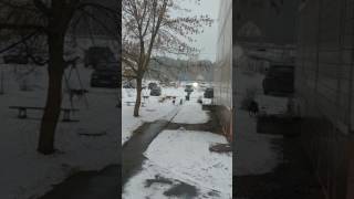 Собаки атаковали серпуховский район п.мирный...а главы говорят щенят не трогать..на улицу страшно вы Собаки атаковали серпуховский район п.мирный...а главы говорят щенят не трогать..на улицу страшно вы