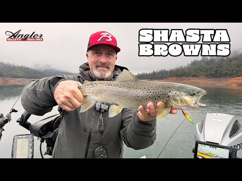 Shasta Lake Brown Trout Fishing