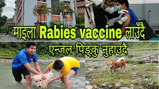 माइला रेबिजको सुई लगाउदै\Rabies vaccine\आज मनिपाल हस्पिटलमा\एन्जल पिङ्कु कालीखोलामा नुहाउदै\RJVLOGS