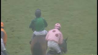 RACE 2  Fontwell 27 Mar 2026 screenshot 2