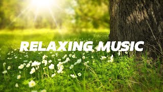 [Playlist] 공부할 때 듣는 피아노 음악relaxing piano music for study. focus music for studying. calm and chill.
