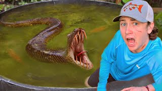 I Discovered a Monster in My Pond! by Bass fishing Productions 3,762,802 views 4 months ago 24 minutes