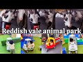 MINI VLOG | DAY IN THE LIFE OF MOM &amp; SON |WE WENT TO AN ANIMAL FARM | REDDISH VALE ANIMAL PARK |