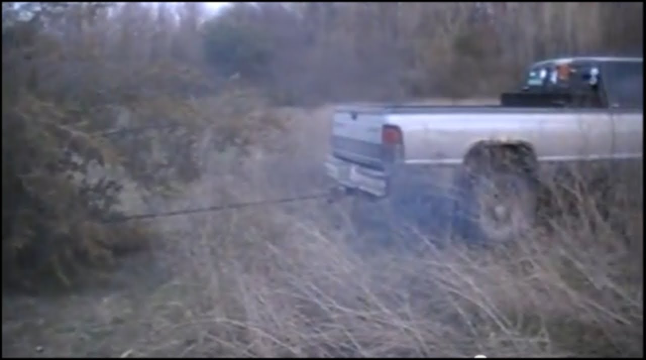 Dodge Ram Diesel 2500 Pulling Out an 18 Foot Tree ROOTS and All - YouTube