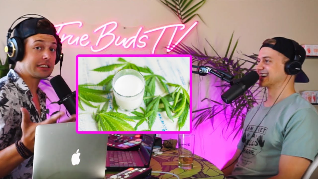 What is the Future of Cannabis Beverages? 