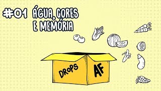 #1 Água, cores e memória | Autoridade Fitness