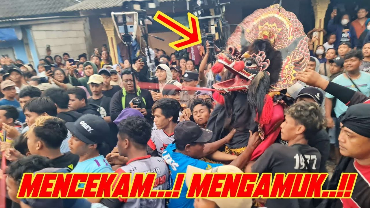 MENCEKAM❗️NGAMUK Barongan Samboyo Putro Tunggulrejo Prambon Nganjuk