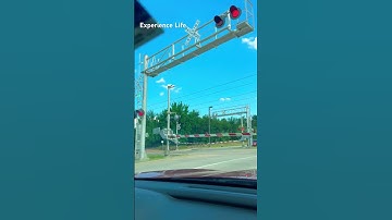 Railway 🚃 Crossing ❌ Spectacle: Zooming Train & Automatic Gate Opening
